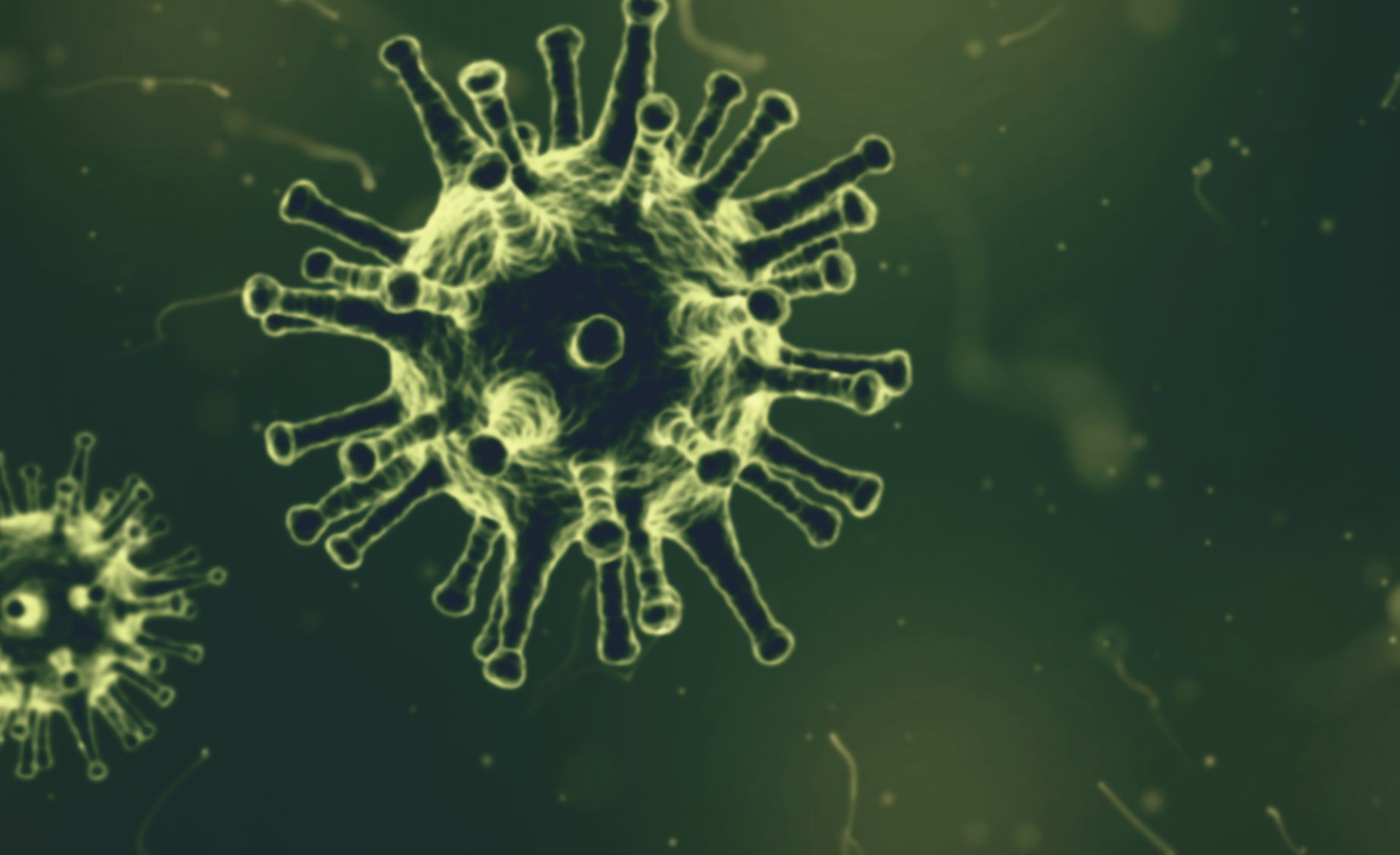 Coronavirus
